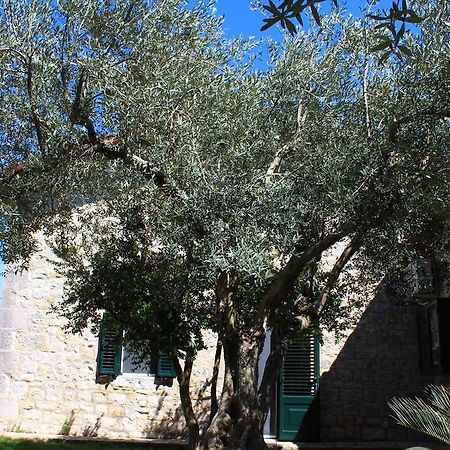 Appartamento Le Tre Palme Frigintini Ngoại thất bức ảnh