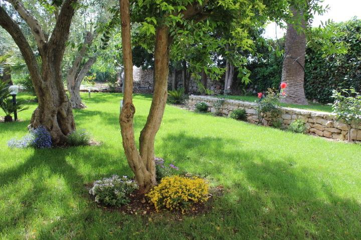 Appartamento Le Tre Palme Frigintini Phòng bức ảnh