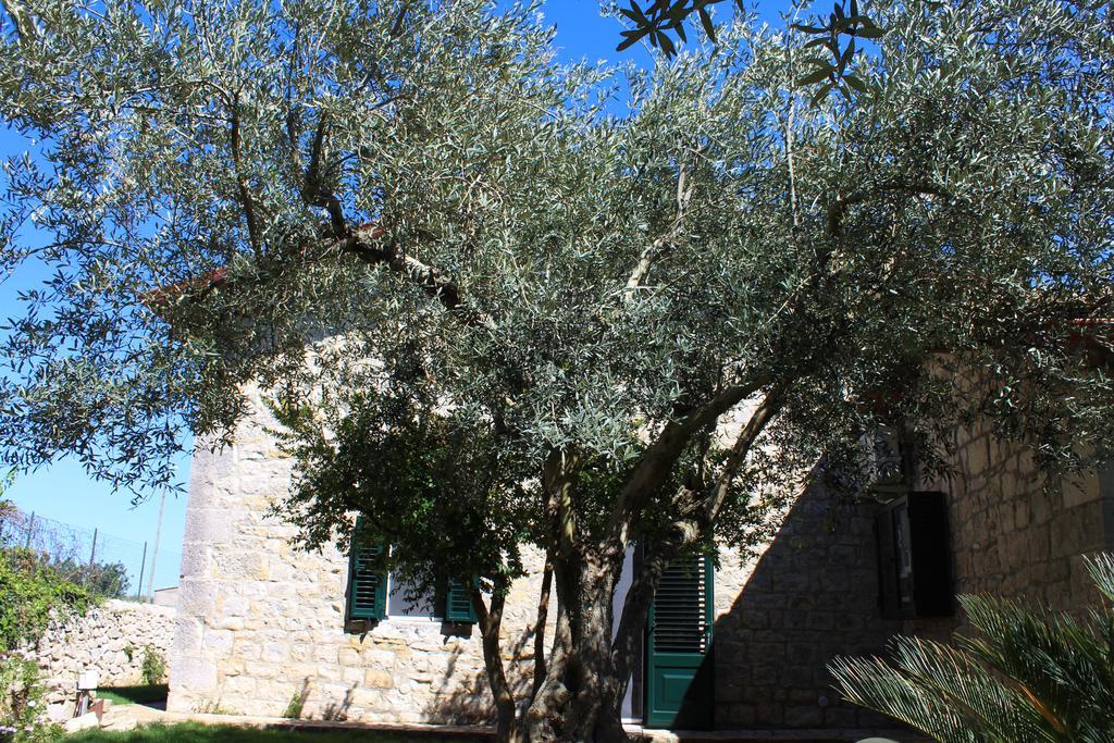 Appartamento Le Tre Palme Frigintini Ngoại thất bức ảnh