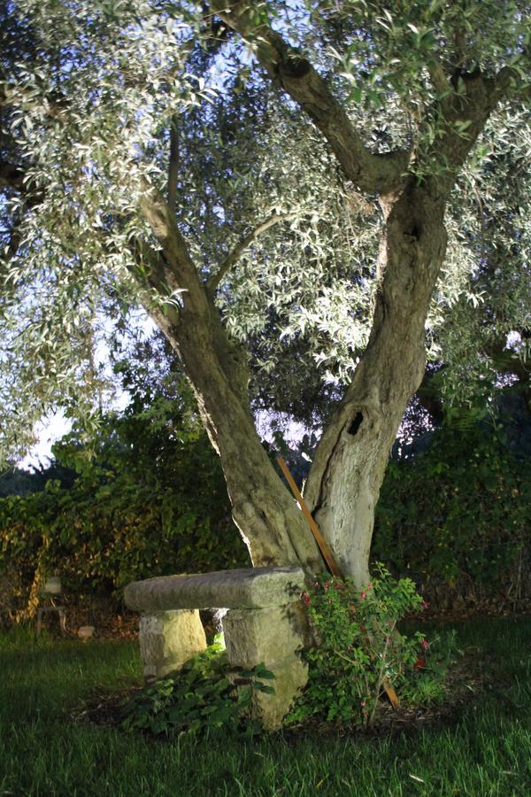Appartamento Le Tre Palme Frigintini Ngoại thất bức ảnh